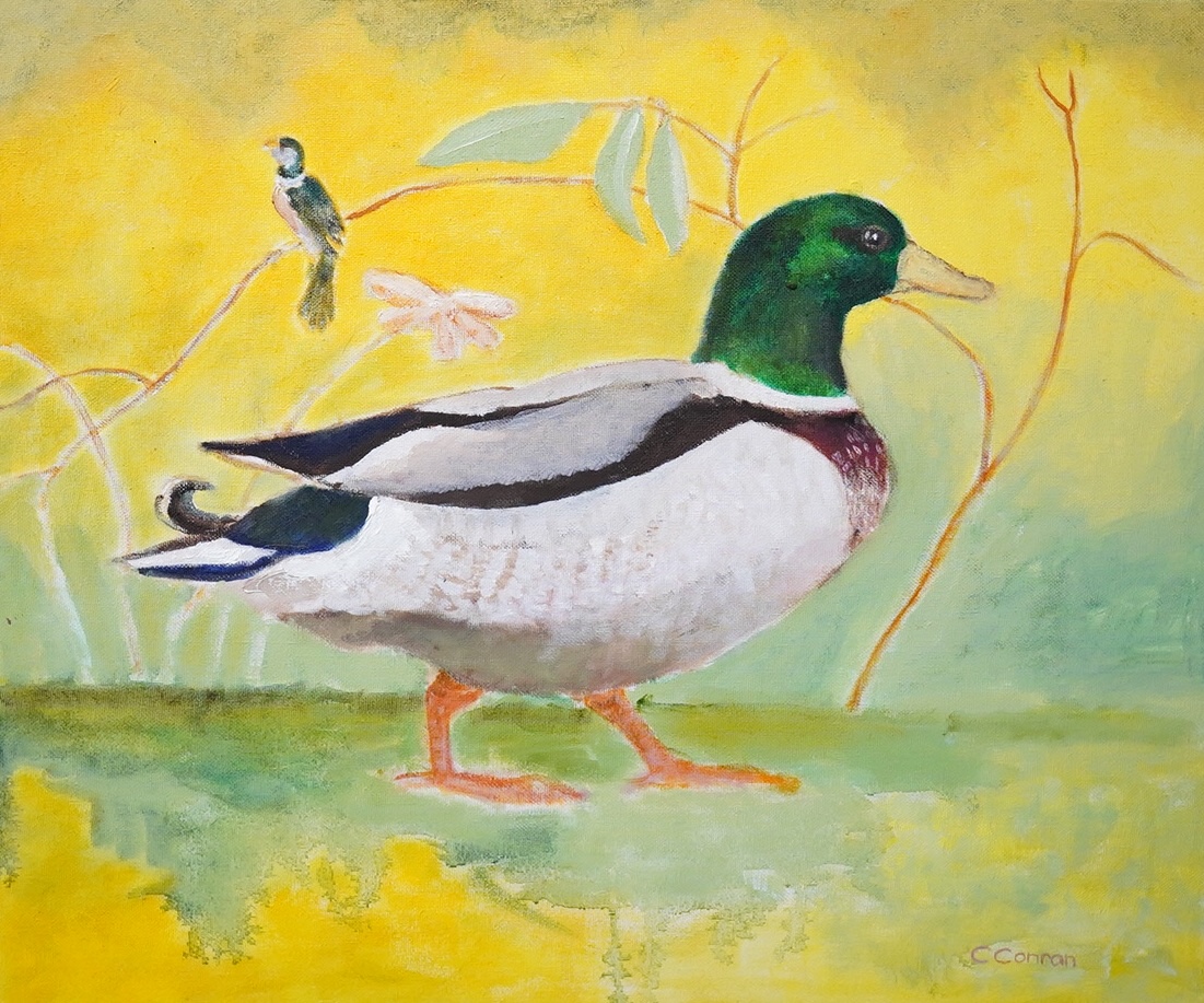 Caroline Conran (b.1939), oil on canvas, Study of a duck, signed, 50 x 59cm. Condition - good